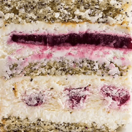 Tortas Aguonų vyšnių sūrio aviečių